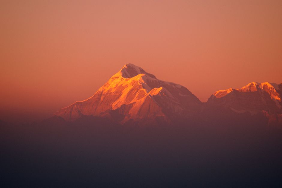 Mansa Devi Mandir हरिद्वार जहां हर वर्ष लाखों श्रद्धालु बृक्ष पर बांधते है, मन्नत के लिए धागा 2024